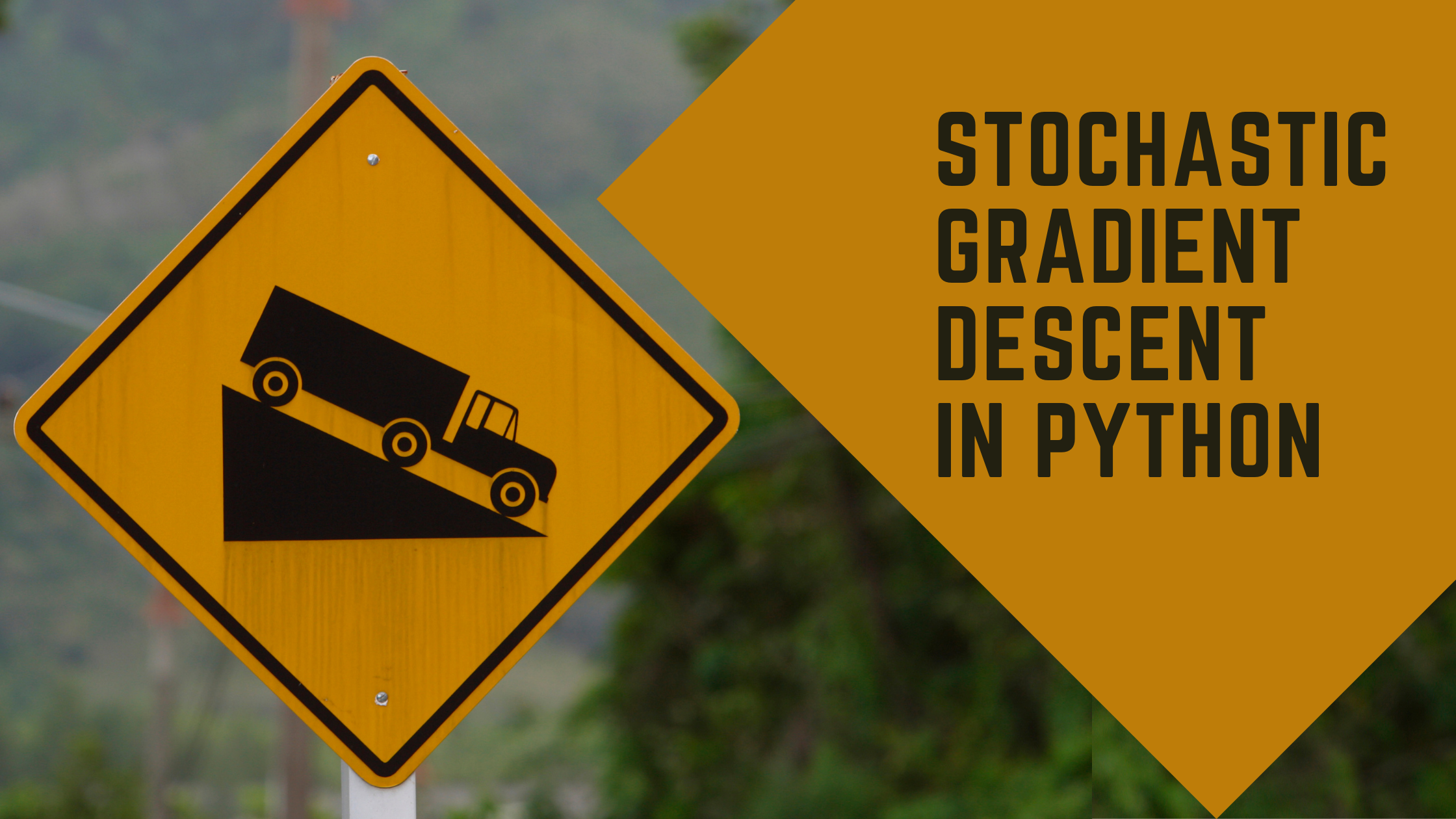 Stochastic gradient descent in python with road sign
